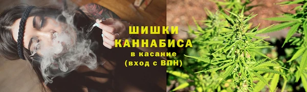 PSILOCYBIN Алзамай