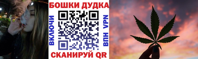 Конопля Amnesia  как найти   Наволоки 